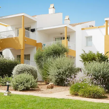 Comitas Isla Del Aire